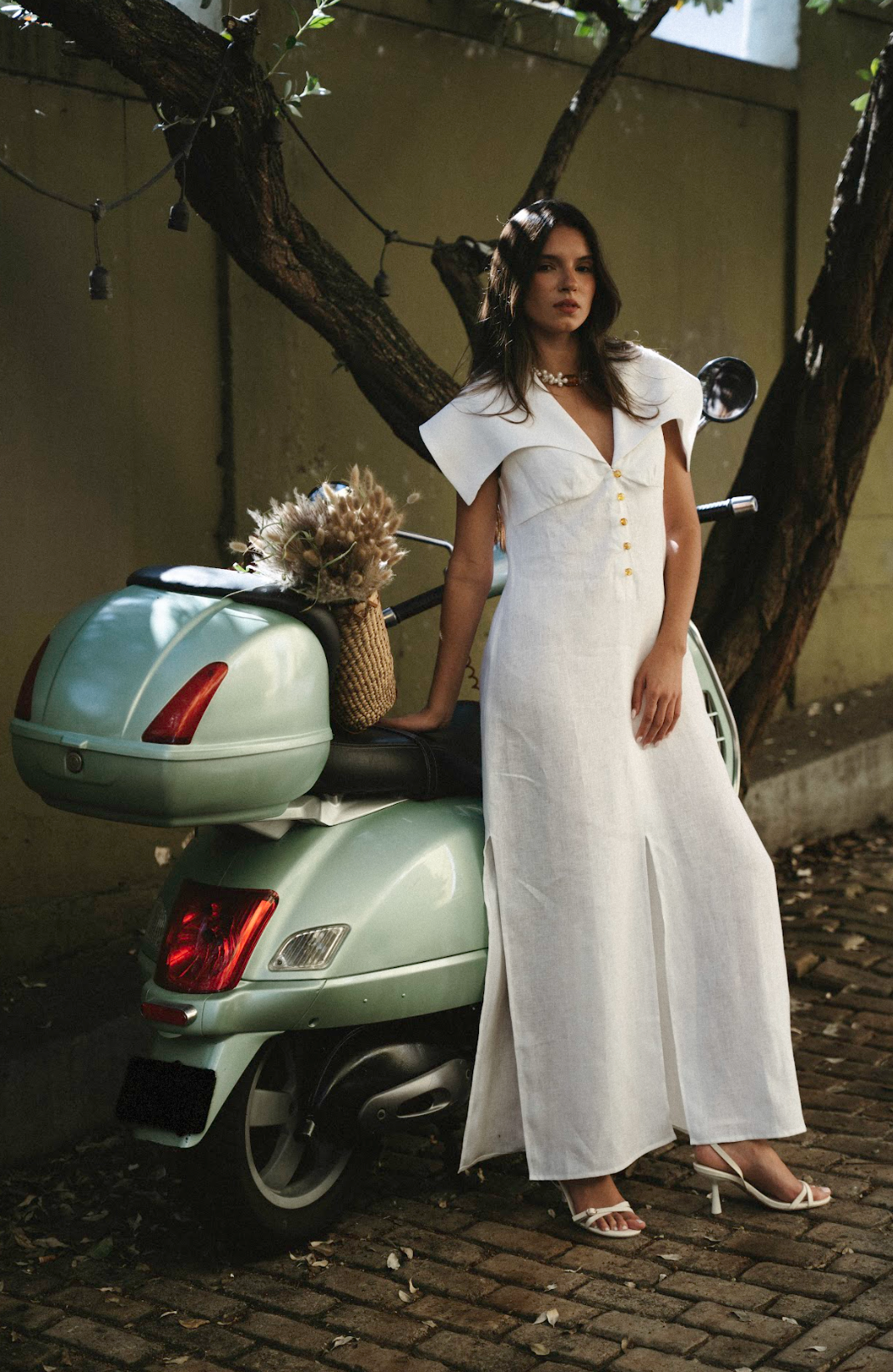 Haydee Dress
